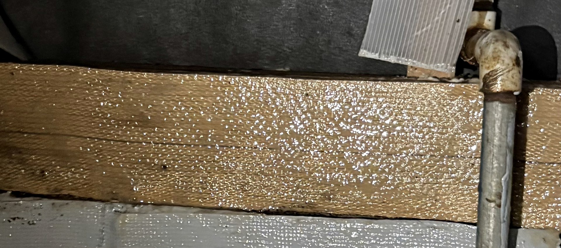 木部補強施工後の様子